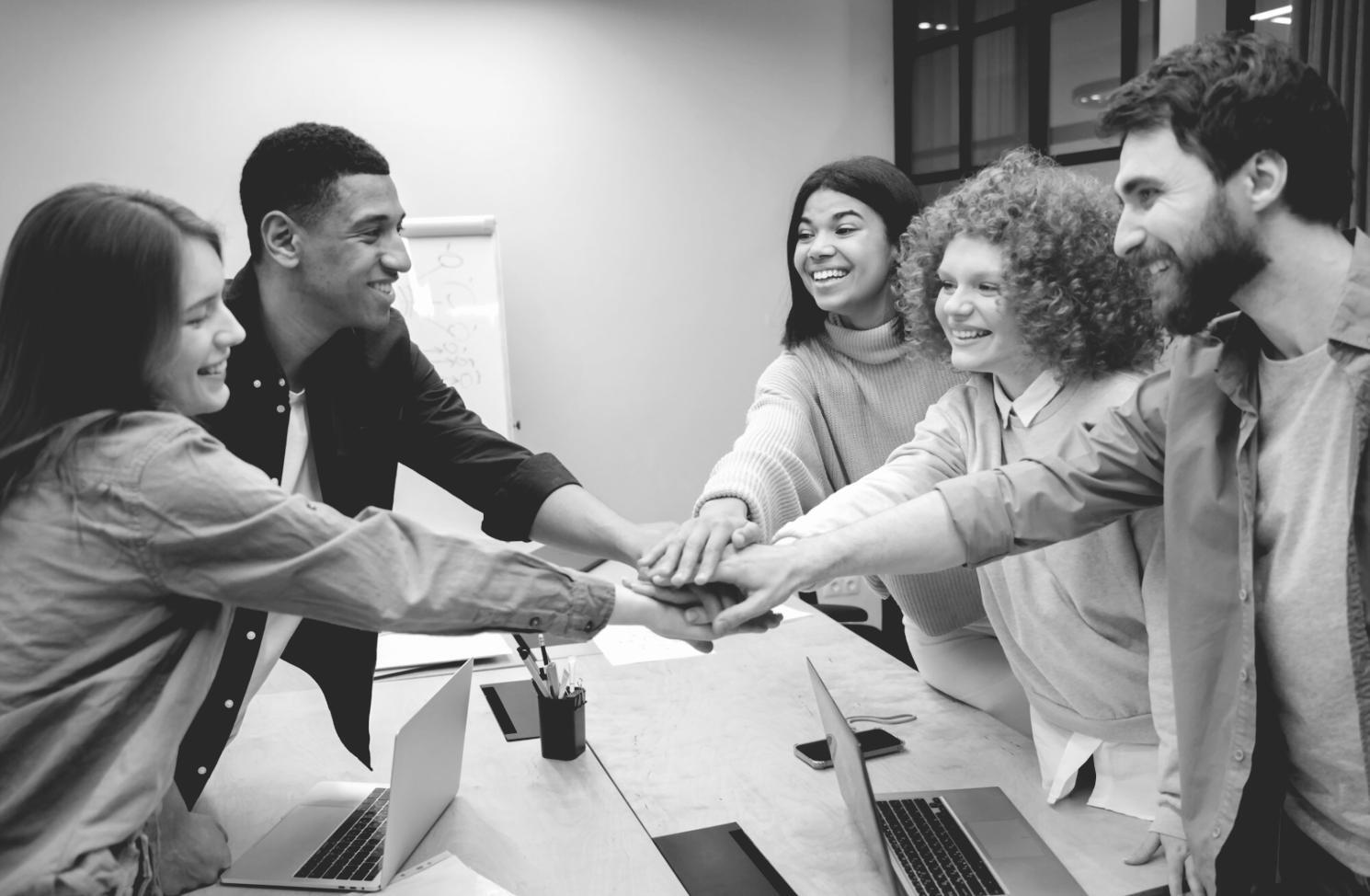 Financial analysis workspace showing detailed charts and data visualization